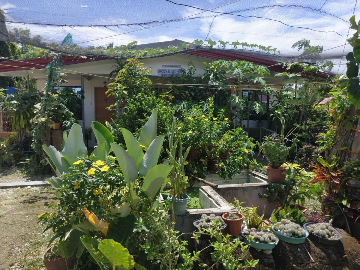 Emoks Guest House Moalboal Buitenkant foto